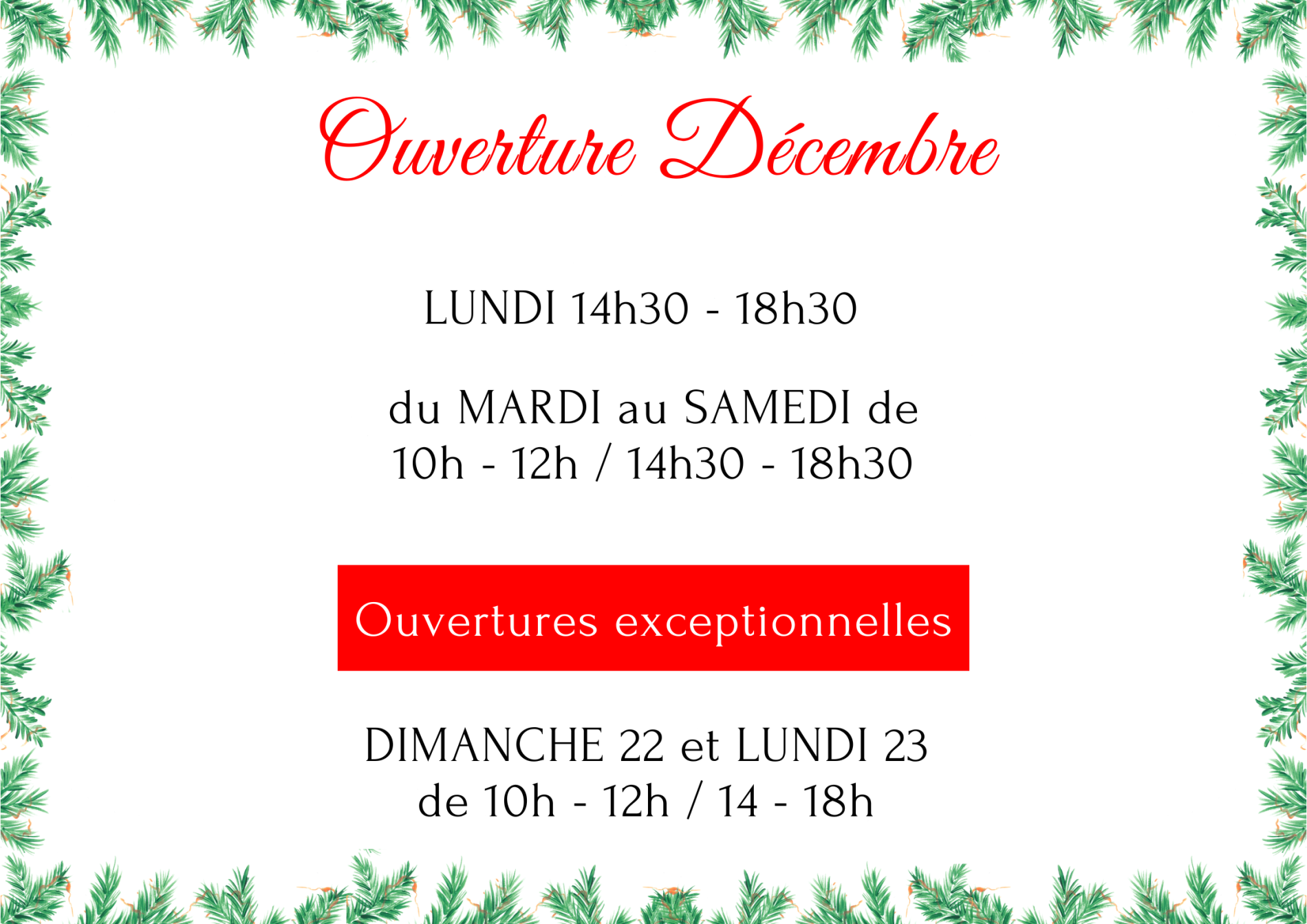 OUVERTURE DECEMBRE 2024